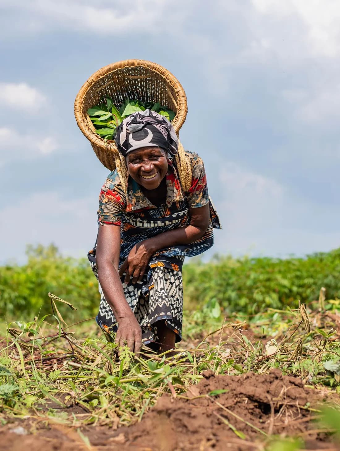 A woman harvesting crops in her field at golden hour