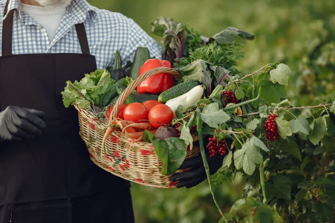 A smallholder farmer holding a basket of fresh harvest